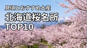北海道桜名所ランキングTOP10！見頃の時期や周辺のおすすめ土産を詳しく紹介