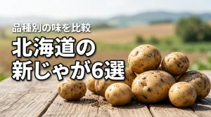 北海道の新じゃがお取り寄せおすすめ6選！品種別の味の違いやメリットを厳選