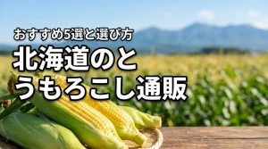 北海道のとうもろこしを通販で買うなら?おすすめ人気5選と失敗しない選び方