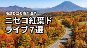 ニセコで紅葉ドライブを満喫する絶景スポット7選！見頃時期や立ち寄り温泉も紹介